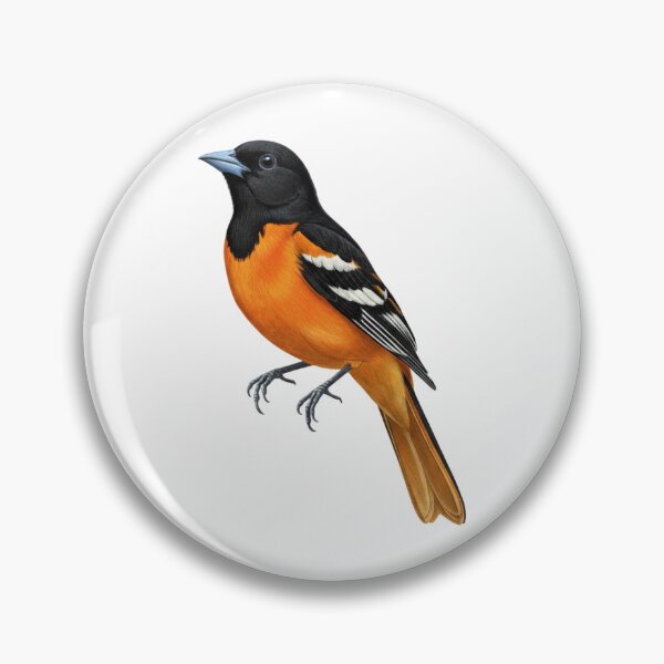 Item preview, Oriole de Baltimore designed and sold by FreshArtFusion.