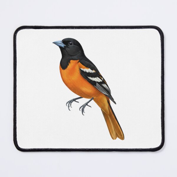 Item preview, Baltimore Oriole designed and sold by FreshArtFusion.