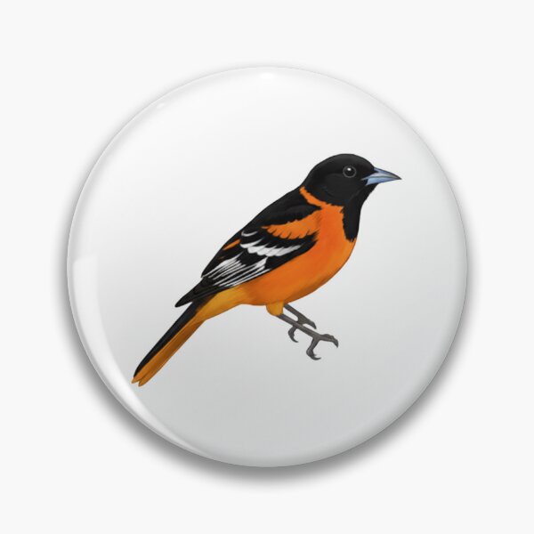 Item preview, Oriole de Baltimore designed and sold by FreshArtFusion.