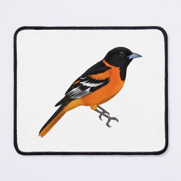 Item preview, Baltimore Oriole designed and sold by FreshArtFusion.