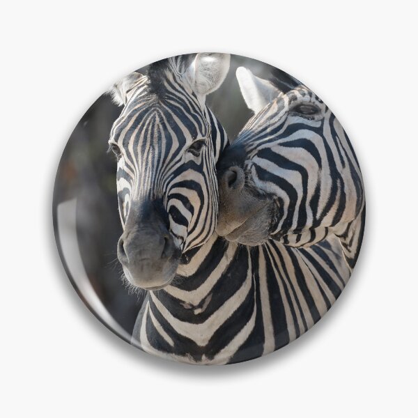 Item preview, Whispers in Stripes — Affectionate Plains Zebras, Etosha designed and sold by DavideAntoniani.