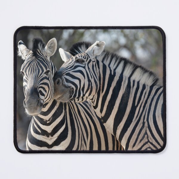 Item preview, Whispers in Stripes — Affectionate Plains Zebras, Etosha designed and sold by DavideAntoniani.