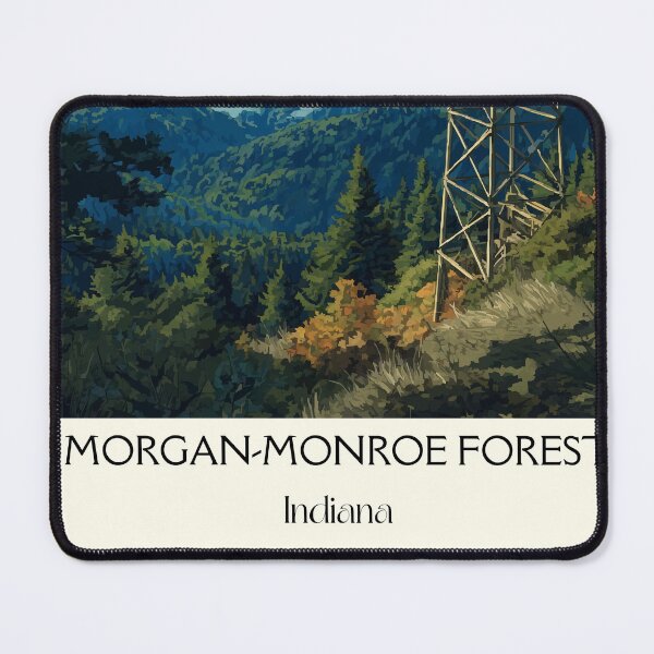 Item preview, Morgan-Monroe Indiana Forest | Fire Tower View Poster designed and sold by TuncGK.