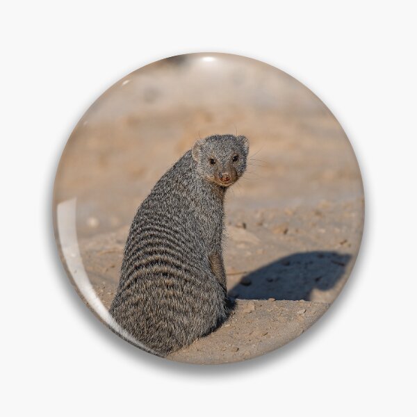 Item preview, Desert Sentry — Banded Mongoose in the Dust, Etosha designed and sold by DavideAntoniani.