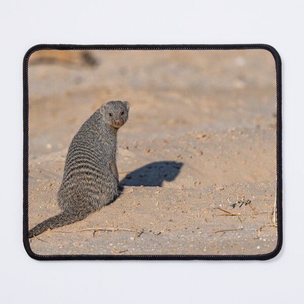 Item preview, Desert Sentry — Banded Mongoose in the Dust, Etosha designed and sold by DavideAntoniani.