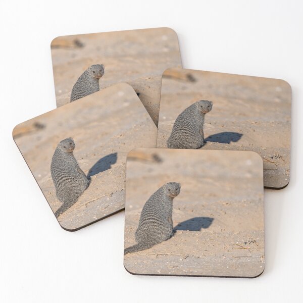 Item preview, Desert Sentry — Banded Mongoose in the Dust, Etosha designed and sold by DavideAntoniani.