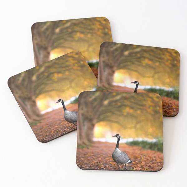 Item preview, Canada goose in autumn at Lake Baldeney by elbvue designed and sold by elbvue.