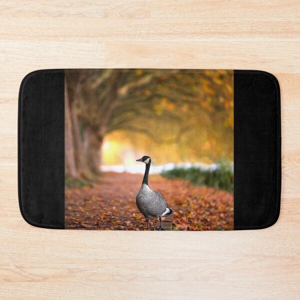 Item preview, Canada goose in autumn at Lake Baldeney by elbvue designed and sold by elbvue.