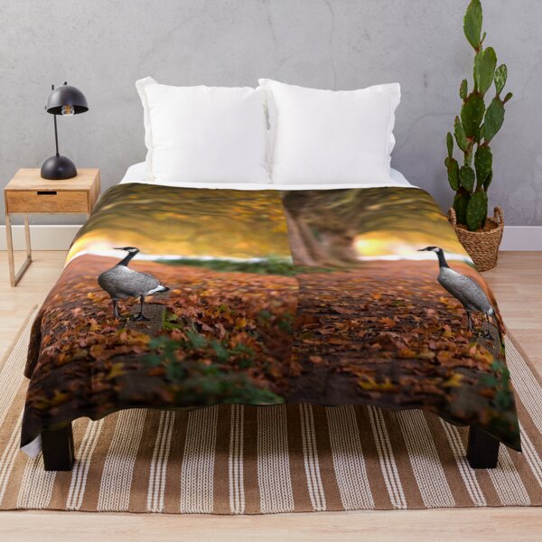 Item preview, Canada goose in autumn at Lake Baldeney by elbvue designed and sold by elbvue.