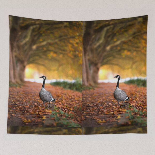 Item preview, Canada goose in autumn at Lake Baldeney by elbvue designed and sold by elbvue.