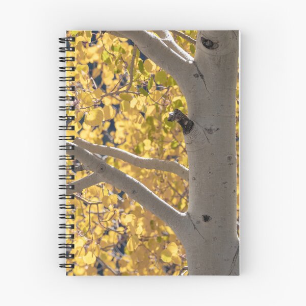 Item preview, Aspen Tree designed and sold by Imbeccable Images.