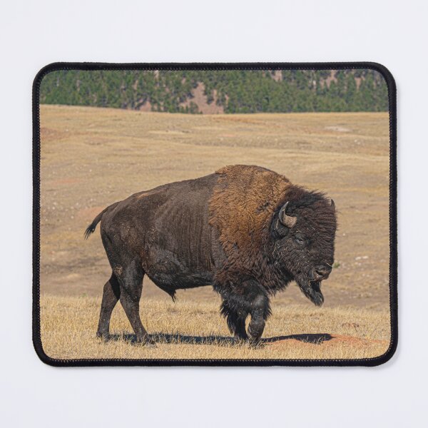Item preview, Bison designed and sold by Imbeccable Images.