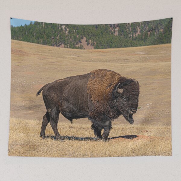 Item preview, Bison designed and sold by Imbeccable Images.