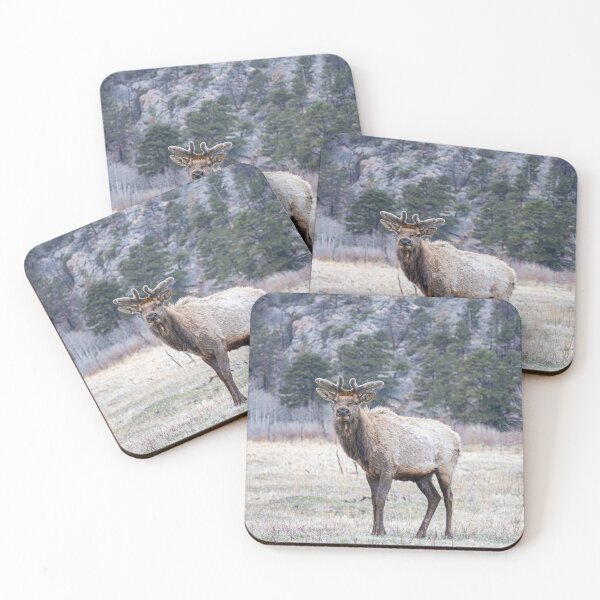 Item preview, Bull Elk designed and sold by Imbeccable Images.