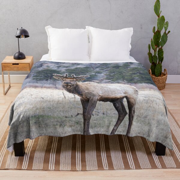 Item preview, Bull Elk designed and sold by Imbeccable Images.
