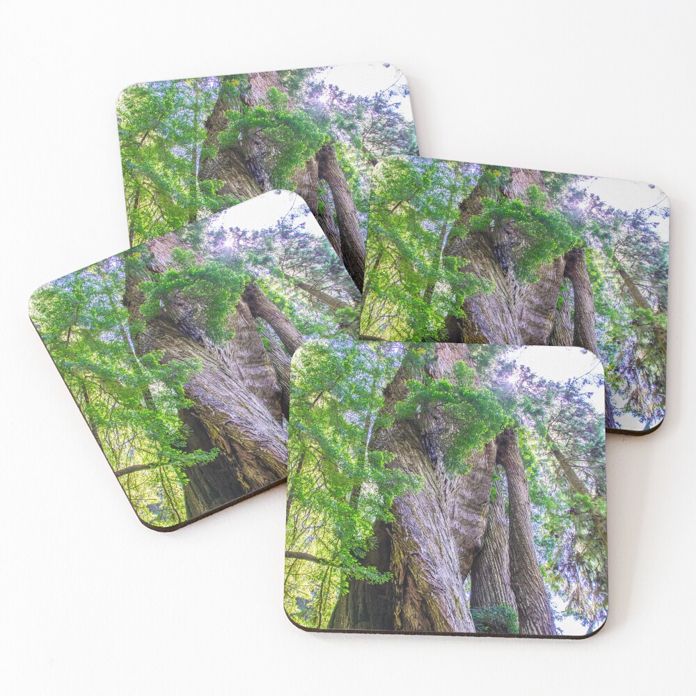 Item preview, Coasters (Set of 4) designed and sold by ImbeccableImage.