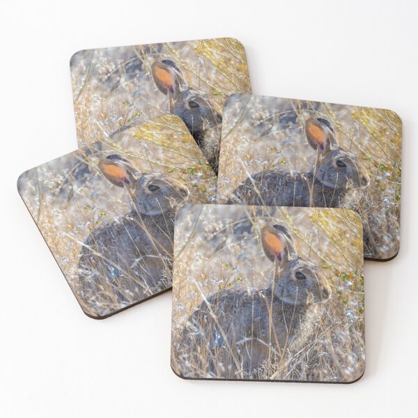 Item preview, Cottontail designed and sold by Imbeccable Images.