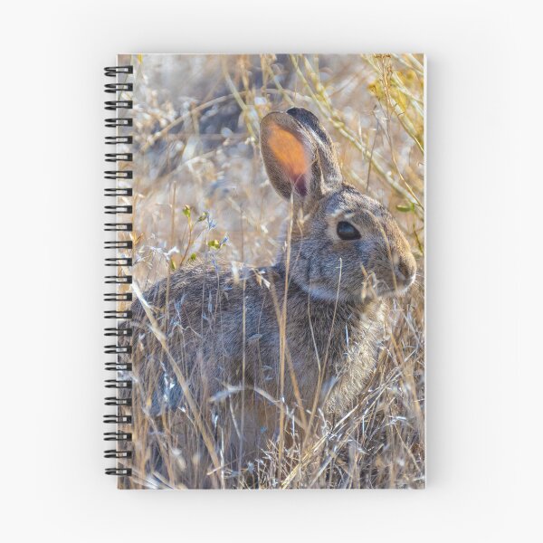 Item preview, Cottontail designed and sold by Imbeccable Images.