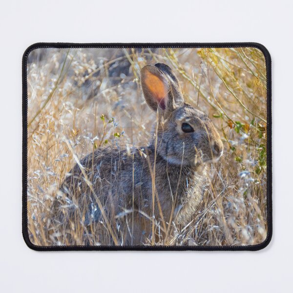 Item preview, Cottontail designed and sold by Imbeccable Images.