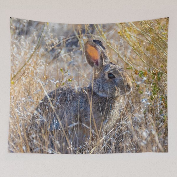 Item preview, Cottontail designed and sold by Imbeccable Images.