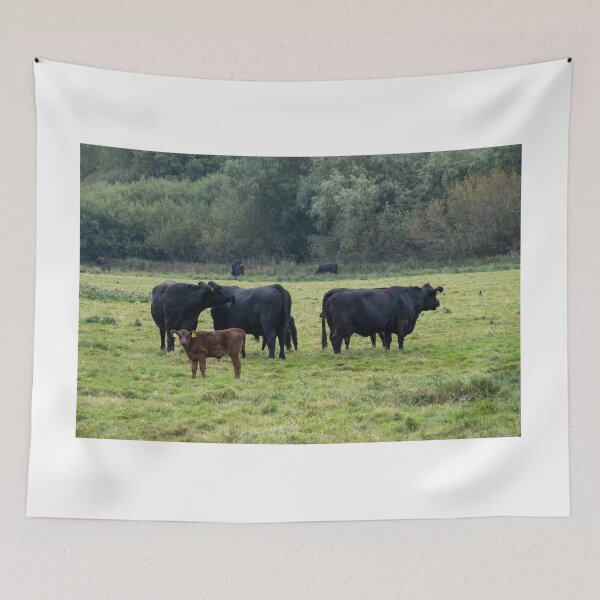 Item preview, Grazing cattle designed and sold by yackers1.