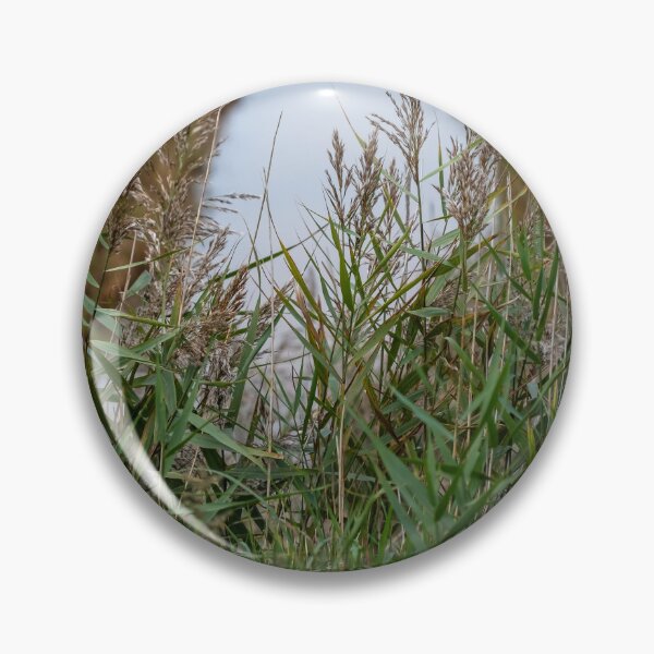 Item preview, Reeds by the river designed and sold by yackers1.