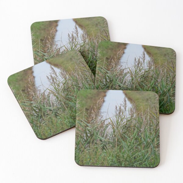 Item preview, Reeds by the river designed and sold by yackers1.