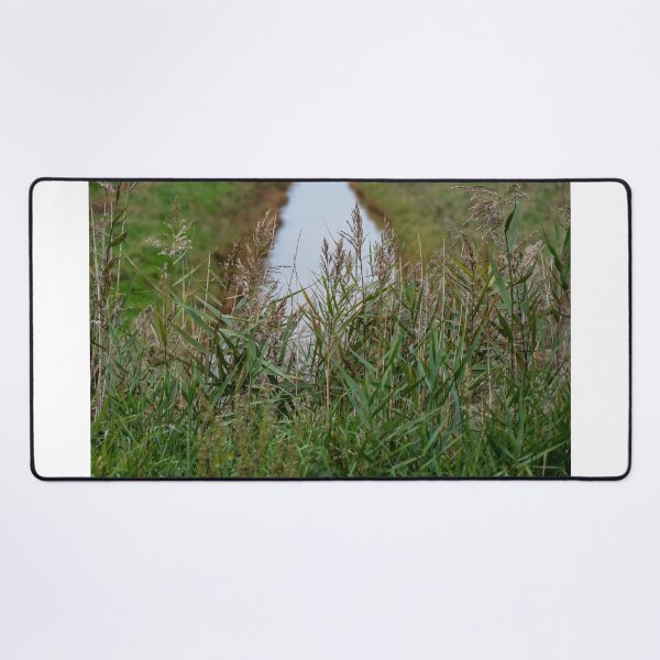 Item preview, Reeds by the river designed and sold by yackers1.