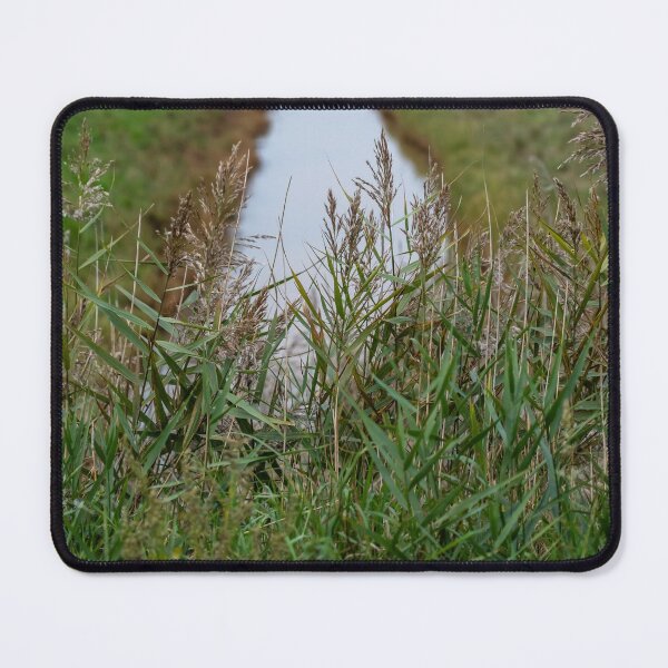 Item preview, Reeds by the river designed and sold by yackers1.