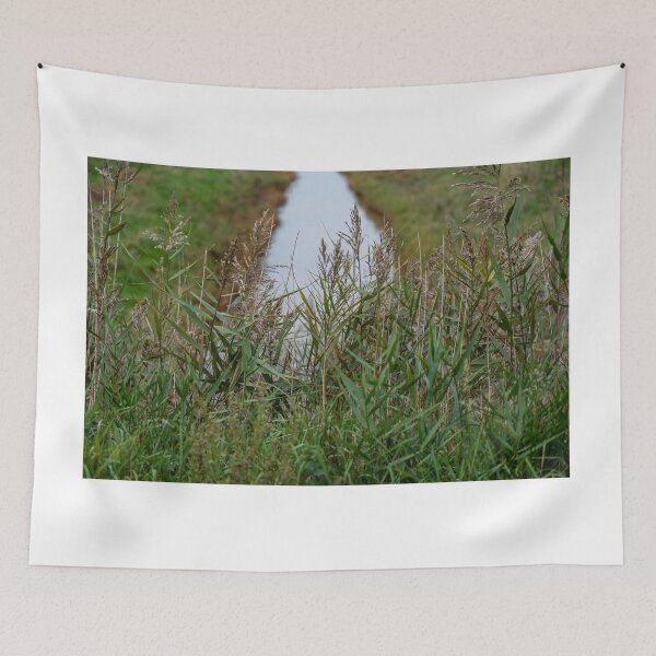 Item preview, Reeds by the river designed and sold by yackers1.