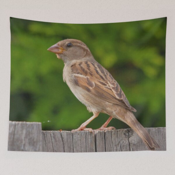Item preview, A female sparrow designed and sold by Production Art Manon Meilleur.