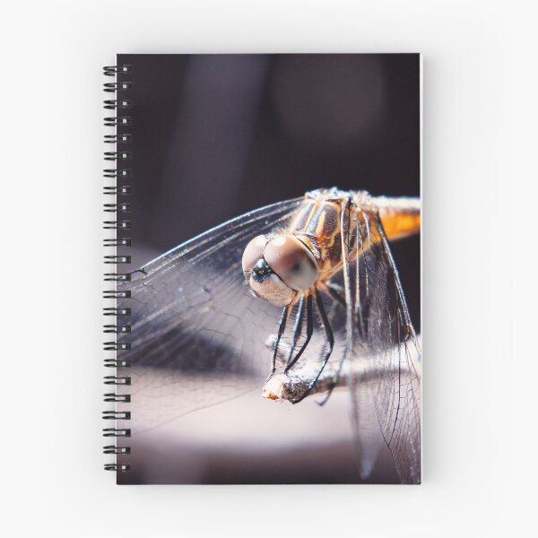 Item preview, Dragonfly Close-up designed and sold by trudolphi.
