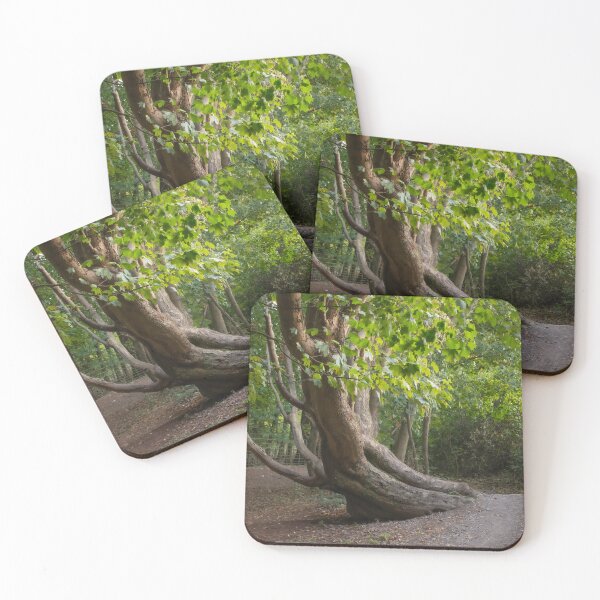Item preview, Curved designed and sold by Christine Lake.