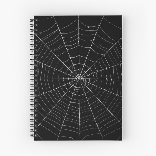 Item preview, "Intricate Spider Web Against a Dark Canvas" designed and sold by YAM716.