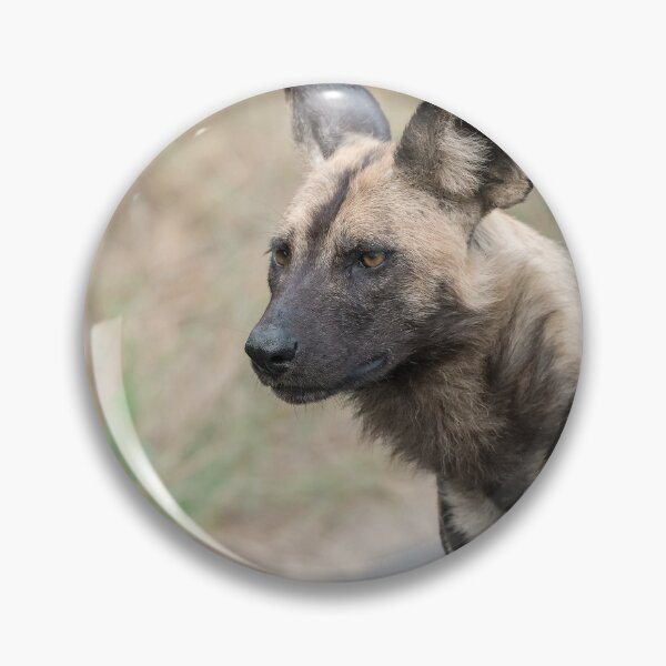 Item preview, Gold‑Eyed Sentinel — African Wild Dog Portrait, African Bush designed and sold by DavideAntoniani.