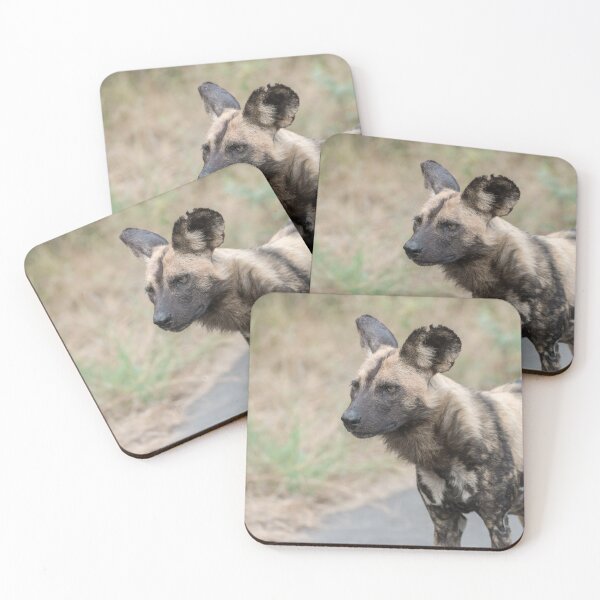 Item preview, Gold‑Eyed Sentinel — African Wild Dog Portrait, African Bush designed and sold by DavideAntoniani.