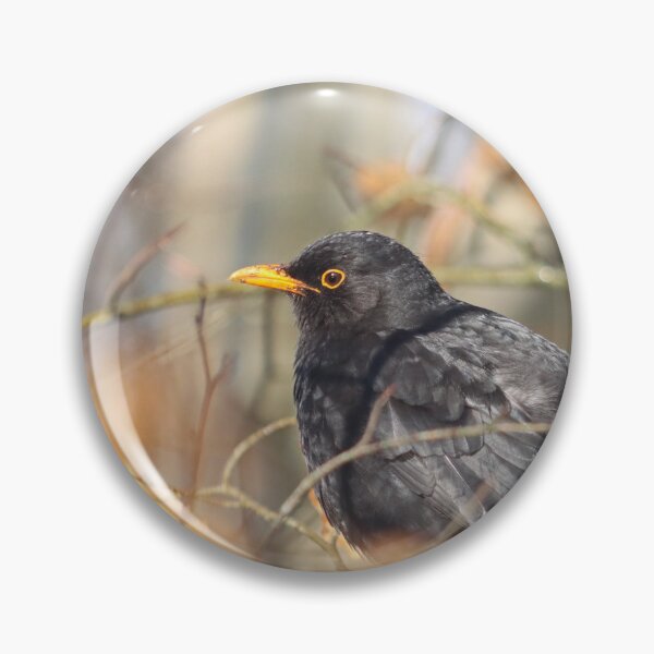 Item preview, Autumnal blackbird designed and sold by GreyFeatherPhot.