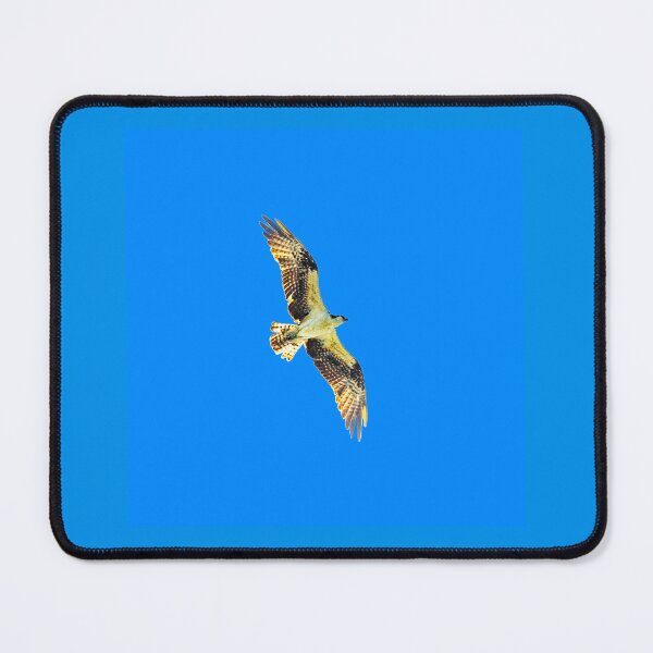 Item preview, Osprey bird designed and sold by annasofia.