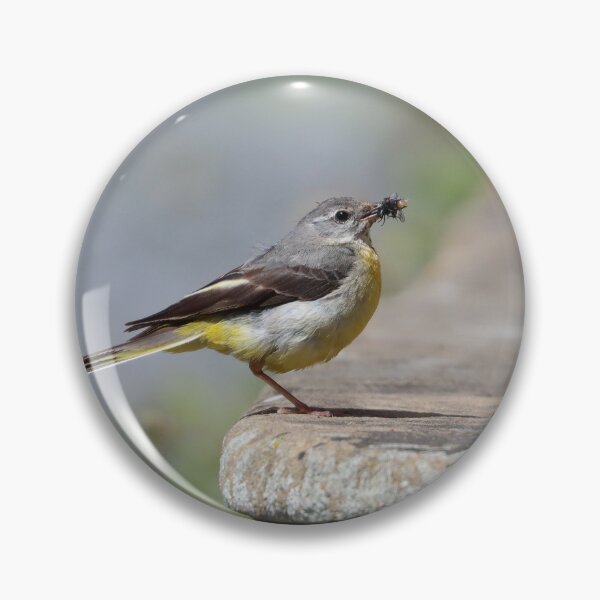 Item preview, Grey wagtail designed and sold by GreyFeatherPhot.