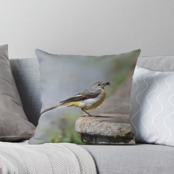 Item preview, Grey wagtail designed and sold by GreyFeatherPhot.