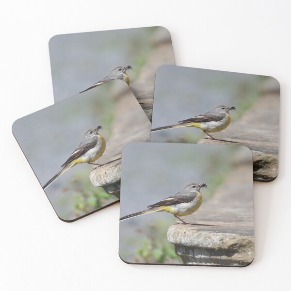 Item preview, Grey wagtail designed and sold by GreyFeatherPhot.