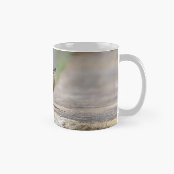 Item preview, Grey wagtail designed and sold by GreyFeatherPhot.