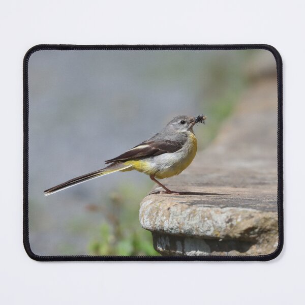 Item preview, Grey wagtail designed and sold by GreyFeatherPhot.