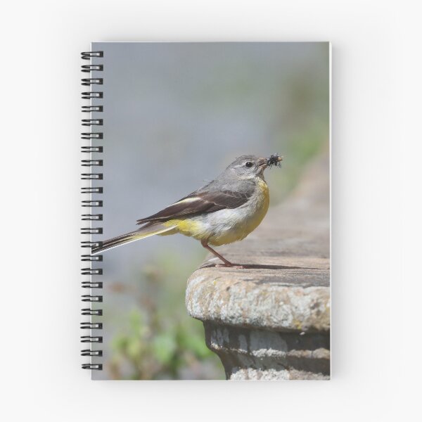 Item preview, Grey wagtail designed and sold by GreyFeatherPhot.