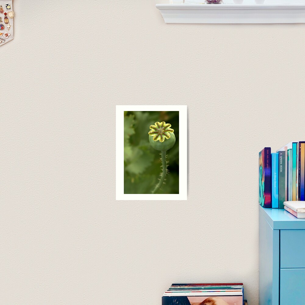 Item preview, Art Print designed and sold by steppeland.