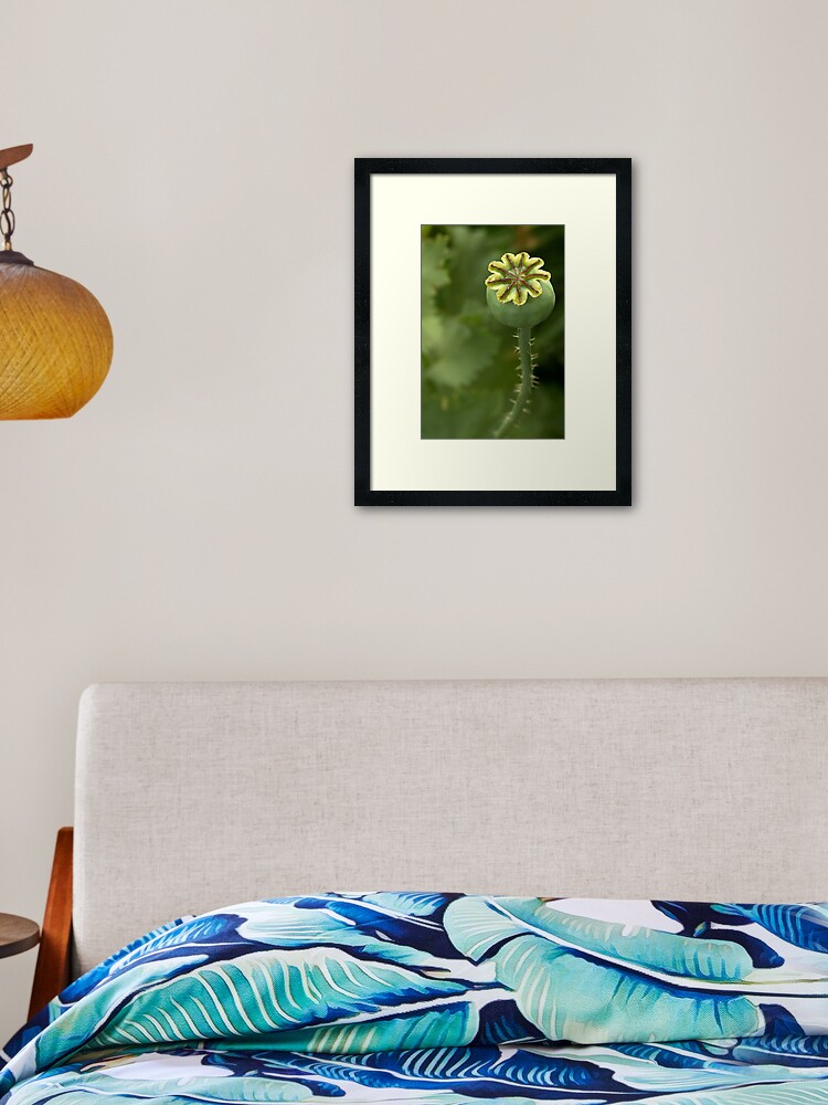 Thumbnail 2 of 7, Framed Art Print, Poppy's treasure box designed and sold by steppeland.