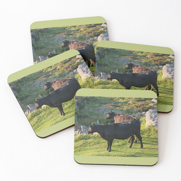 Item preview, Dartmoor cattle designed and sold by artsmeow.