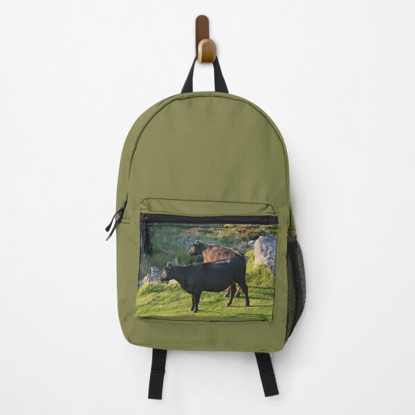 Item preview, Dartmoor cattle designed and sold by artsmeow.