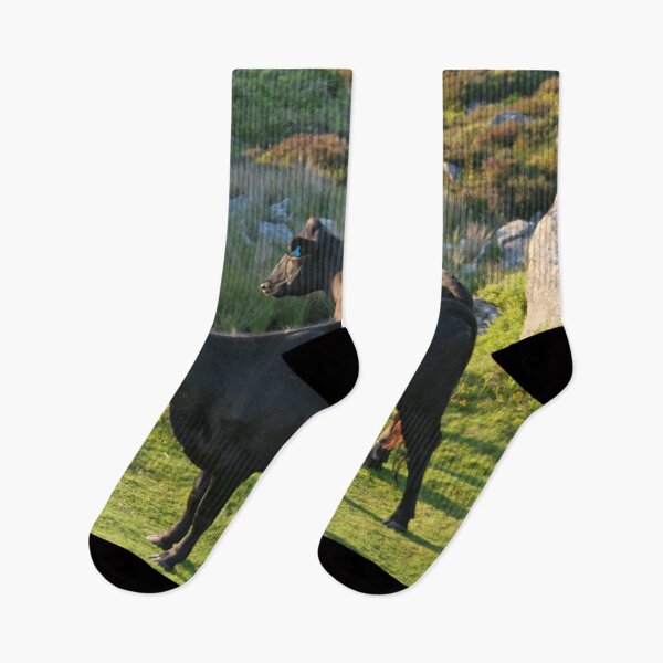 Item preview, Dartmoor cattle designed and sold by artsmeow.