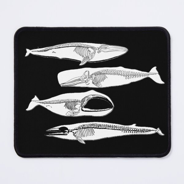 Item preview, Whale Skeletons designed and sold by RivendellBird.